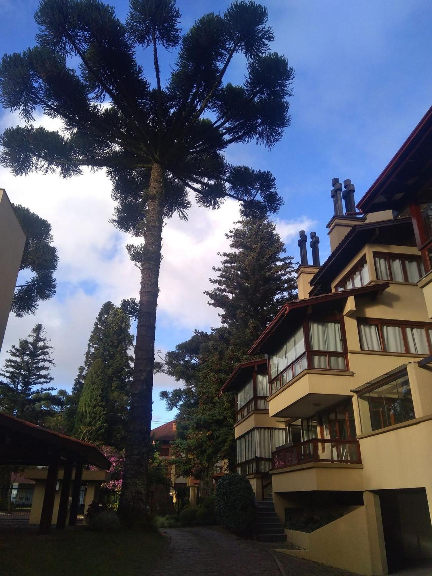 Estacao Das Hortensias, Seu Aconchego Em Gramado Appartement Buitenkant foto