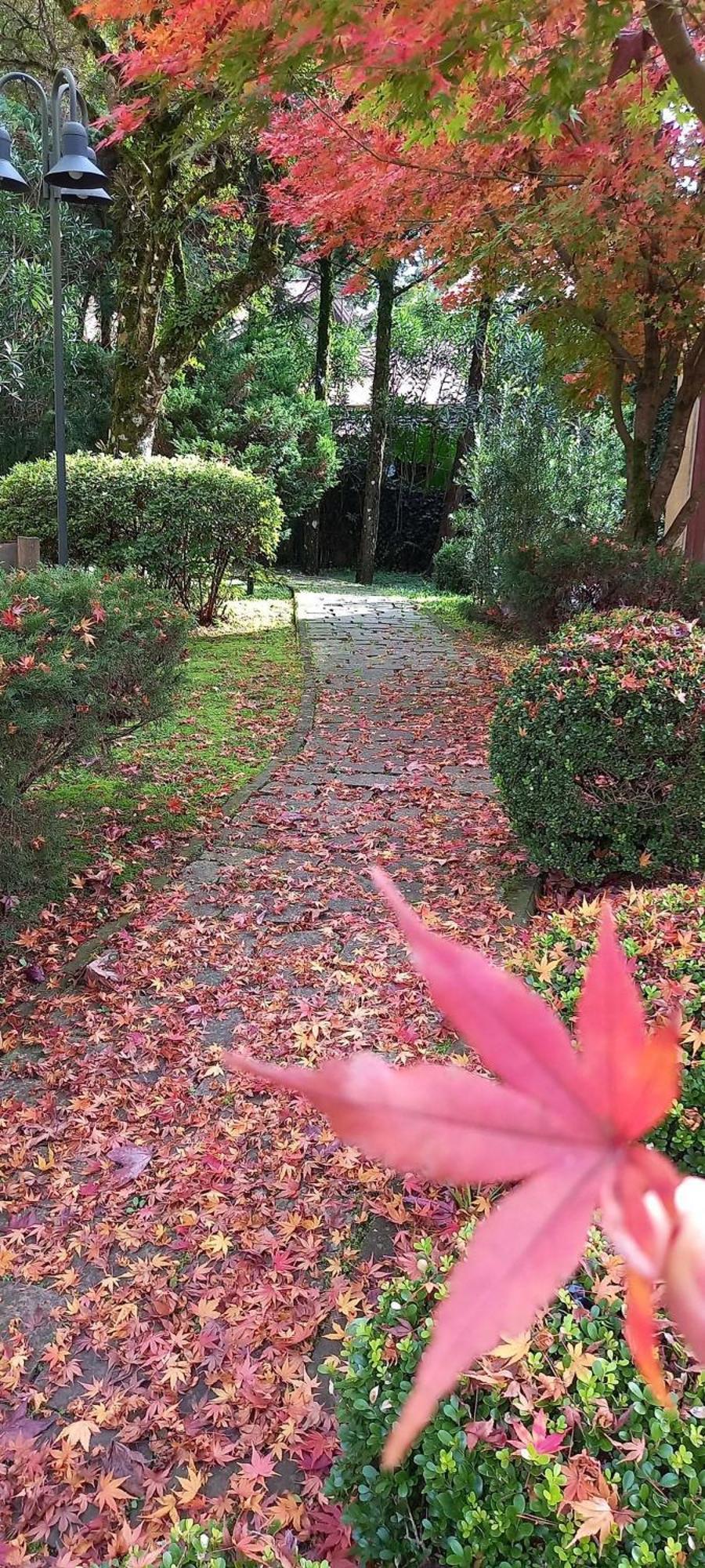 Estacao Das Hortensias, Seu Aconchego Em Gramado Appartement Buitenkant foto
